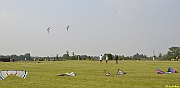 Parco San Giuliano  - 388